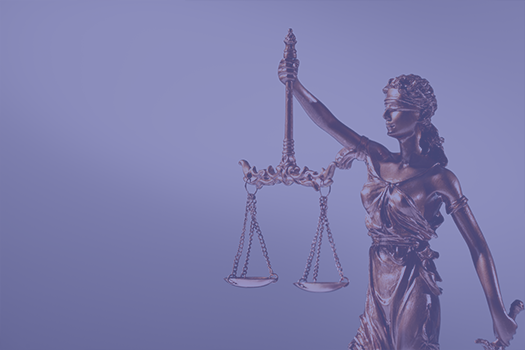 Panneaux solaires, Tribunal Judiciaire de Bar-le-Duc